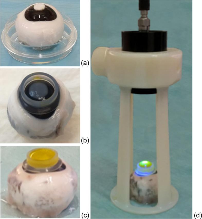 https://cdn.ncbi.nlm.nih.gov/pmc/blobs/81ea/8555156/7c88d5644d49/12917_2021_3050_Fig5_HTML.jpg