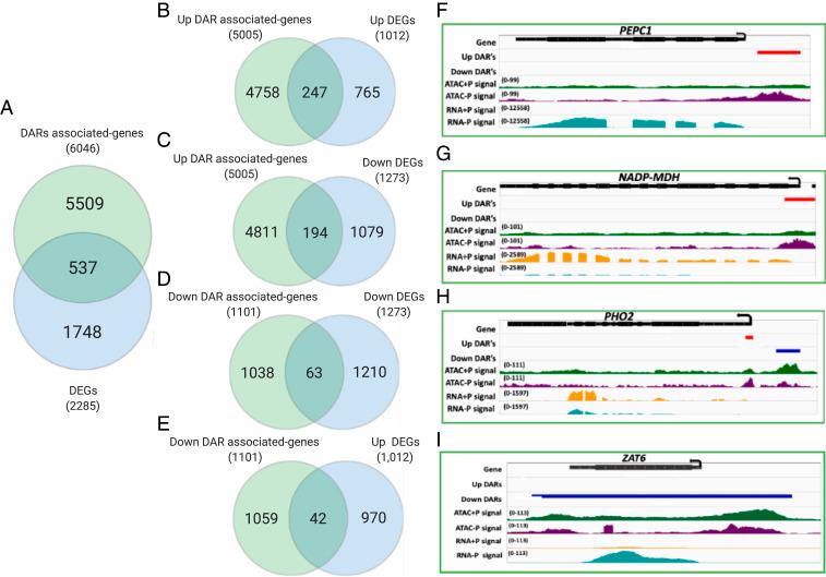 https://cdn.ncbi.nlm.nih.gov/pmc/blobs/81ec/8379931/94cc44d82073/pnas.2107558118fig04.jpg