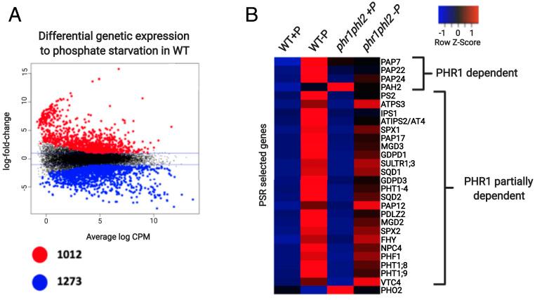 https://cdn.ncbi.nlm.nih.gov/pmc/blobs/81ec/8379931/ea41996c4d42/pnas.2107558118fig03.jpg
