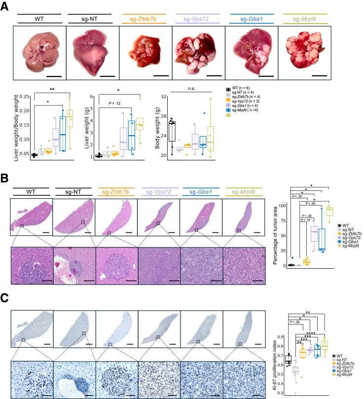 https://cdn.ncbi.nlm.nih.gov/pmc/blobs/81ee/11929076/0b3f622b0d07/gr10.jpg