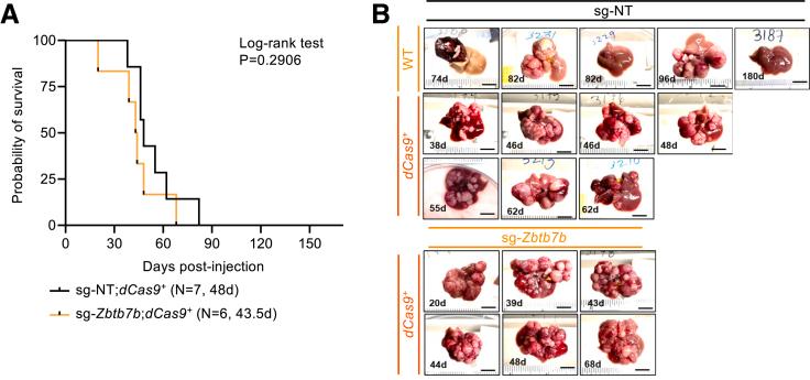 https://cdn.ncbi.nlm.nih.gov/pmc/blobs/81ee/11929076/debc2902979a/gr9.jpg