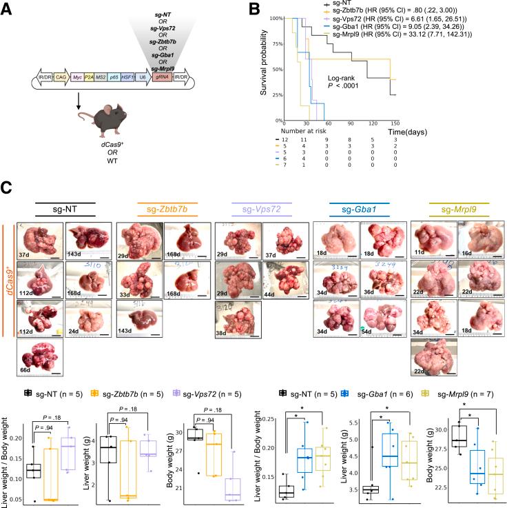https://cdn.ncbi.nlm.nih.gov/pmc/blobs/81ee/11929076/ec492a8b5036/gr8.jpg