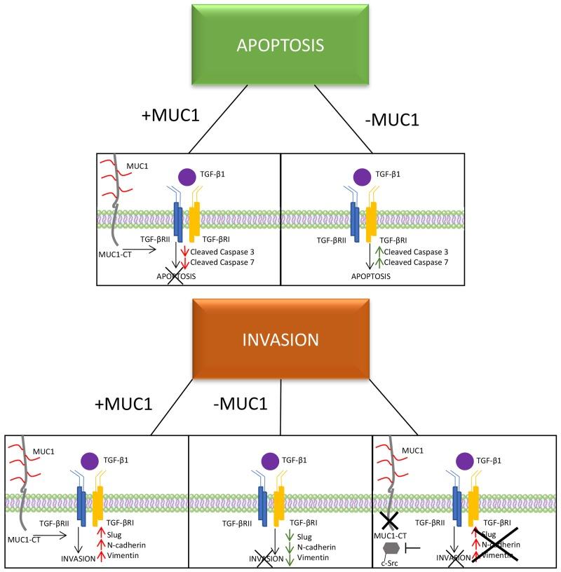 https://cdn.ncbi.nlm.nih.gov/pmc/blobs/81ee/5805524/600bc9f6c357/oncotarget-09-6897-g006.jpg