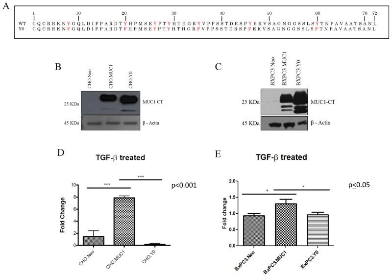 https://cdn.ncbi.nlm.nih.gov/pmc/blobs/81ee/5805524/8ea0fb52cfce/oncotarget-09-6897-g004.jpg