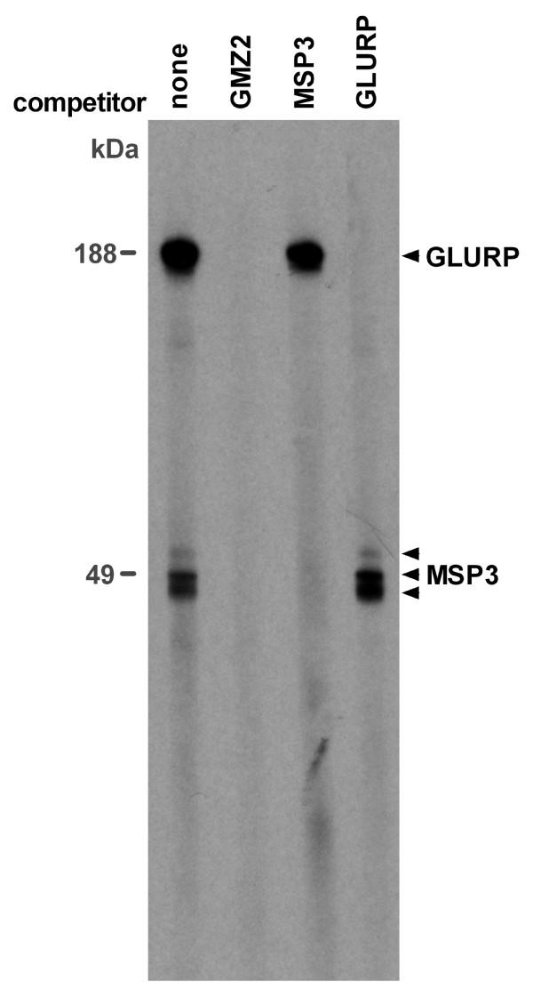 https://cdn.ncbi.nlm.nih.gov/pmc/blobs/81ef/3265551/46dcfa4b2183/1475-2875-10-359-6.jpg