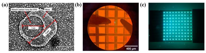 https://cdn.ncbi.nlm.nih.gov/pmc/blobs/81f0/10142470/5f5d3d9505be/nanomaterials-13-01346-g004.jpg