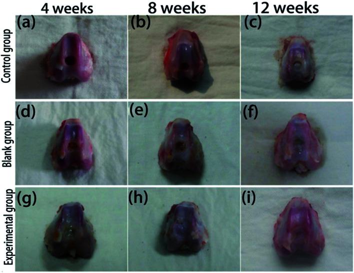 https://cdn.ncbi.nlm.nih.gov/pmc/blobs/81f1/9077838/3b341642e07a/c7ra11593h-f12.jpg