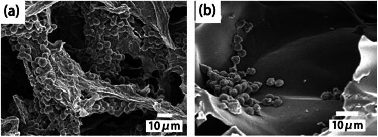 https://cdn.ncbi.nlm.nih.gov/pmc/blobs/81f1/9077838/60e3fb6cf72c/c7ra11593h-f7.jpg