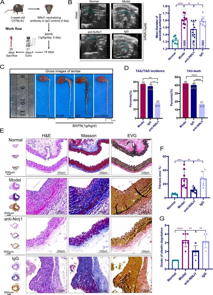 https://cdn.ncbi.nlm.nih.gov/pmc/blobs/81f9/10588060/56f001ef2853/12916_2023_3077_Fig8_HTML.jpg