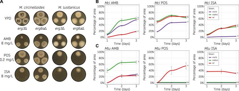 https://cdn.ncbi.nlm.nih.gov/pmc/blobs/81fb/11323496/d78ecec12cff/mbio.01661-24.f004.jpg