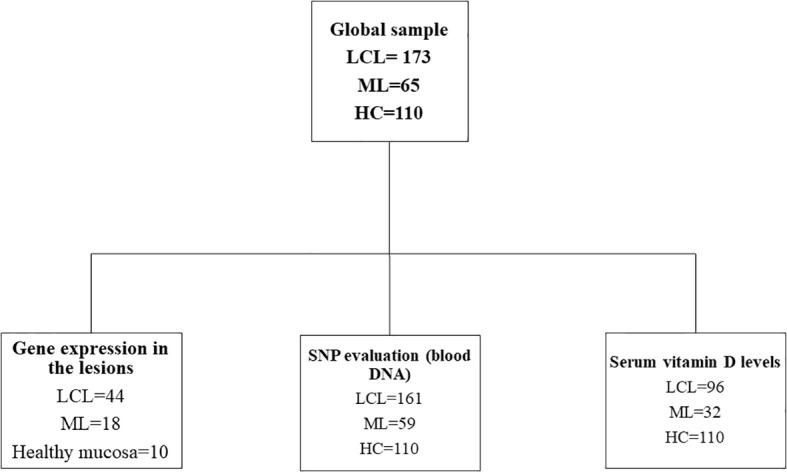 https://cdn.ncbi.nlm.nih.gov/pmc/blobs/8200/11750871/8b05661a4e25/fcimb-14-1487255-g001.jpg