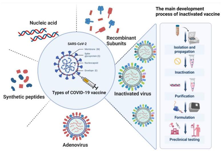https://cdn.ncbi.nlm.nih.gov/pmc/blobs/8201/10302808/0c11551f4ce1/vaccines-11-01045-g001.jpg