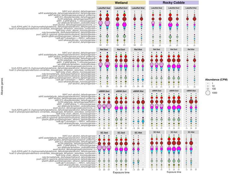 https://cdn.ncbi.nlm.nih.gov/pmc/blobs/8201/11068069/d5693a1037ee/fiae055fig4.jpg