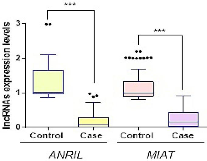 https://cdn.ncbi.nlm.nih.gov/pmc/blobs/8206/11685552/85d56a7a29cf/CJN-23-117-g001.jpg