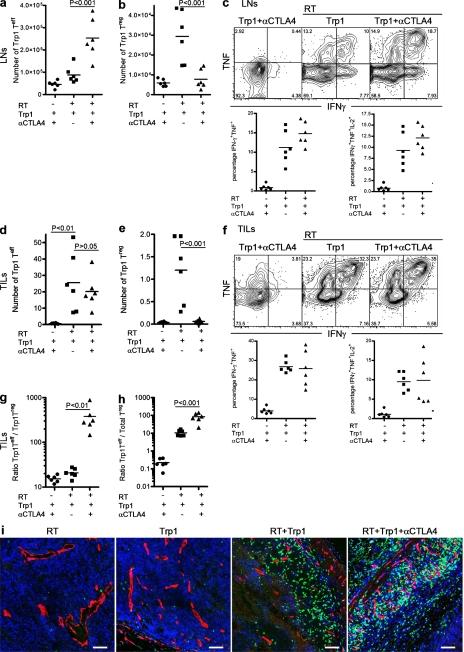 https://cdn.ncbi.nlm.nih.gov/pmc/blobs/8206/2839156/3e629f42aac1/JEM_20091918_RGB_Fig2.jpg