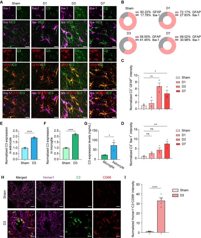 https://cdn.ncbi.nlm.nih.gov/pmc/blobs/8207/12121917/09a56fb73b08/ppat.1013126.g005.jpg