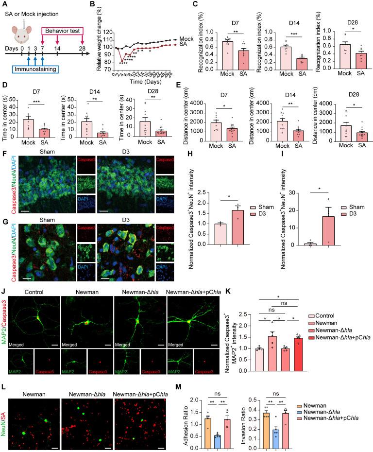 https://cdn.ncbi.nlm.nih.gov/pmc/blobs/8207/12121917/2d6e2ab06d55/ppat.1013126.g001.jpg