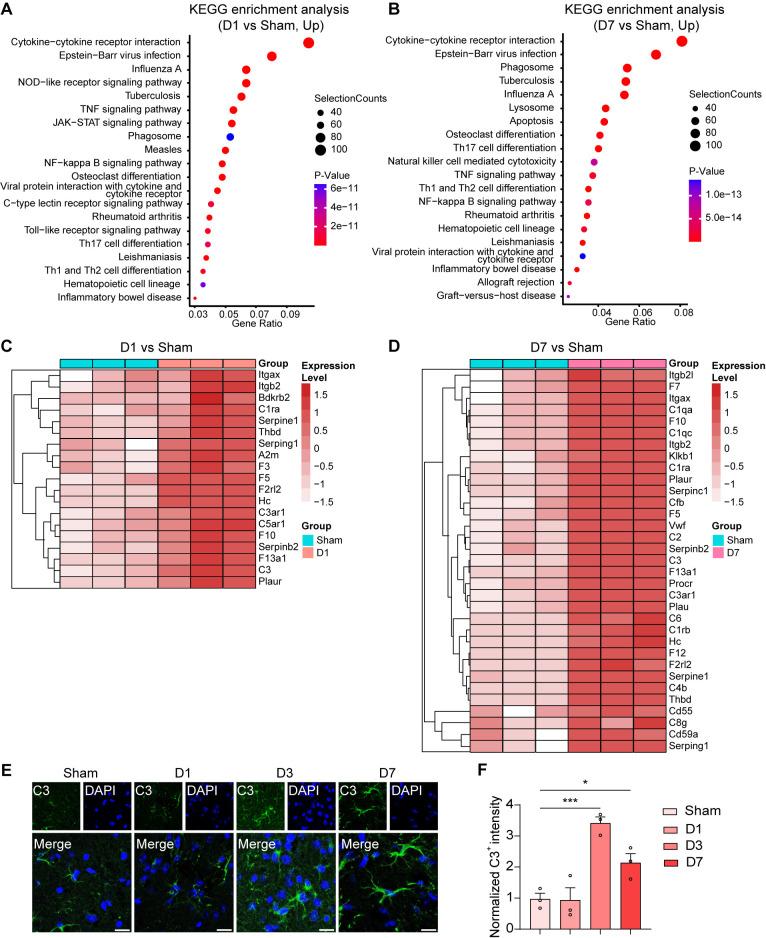 https://cdn.ncbi.nlm.nih.gov/pmc/blobs/8207/12121917/31f421ea4f43/ppat.1013126.g004.jpg