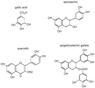 https://cdn.ncbi.nlm.nih.gov/pmc/blobs/8208/2746583/a275d6708983/86-6600295f1.jpg