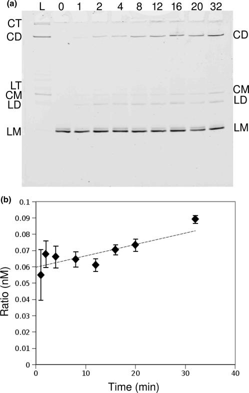 https://cdn.ncbi.nlm.nih.gov/pmc/blobs/8209/2724272/751a15ccca52/gkp442f3.jpg