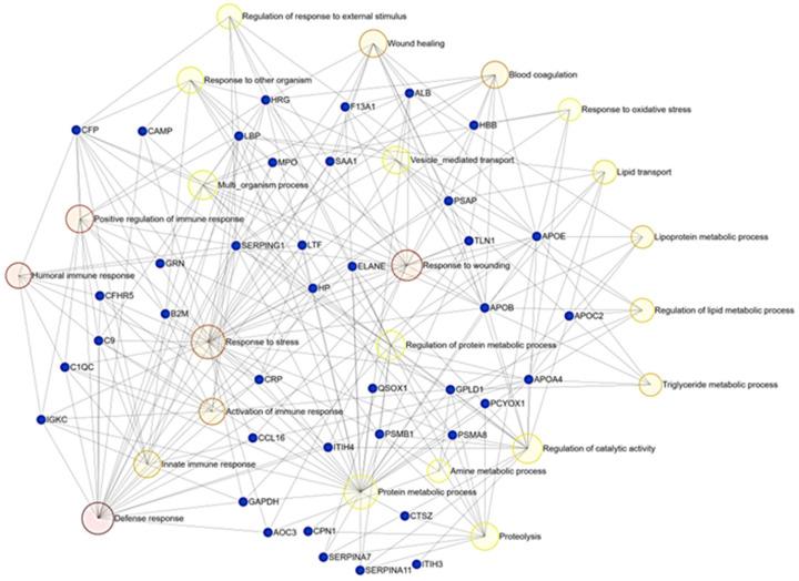 https://cdn.ncbi.nlm.nih.gov/pmc/blobs/820a/10059658/f87377f9a4ff/metabolites-13-00365-g005.jpg