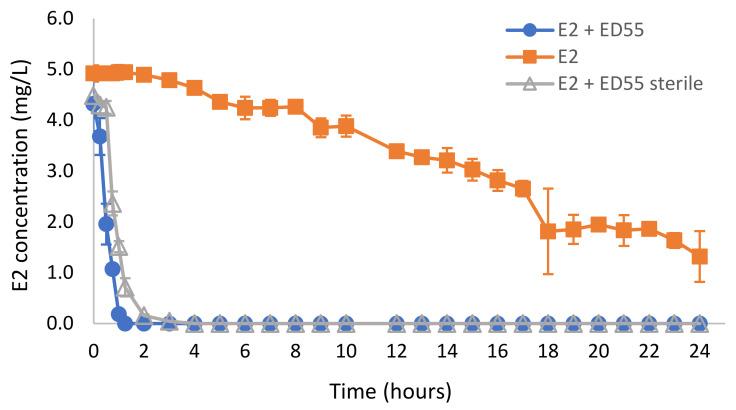 https://cdn.ncbi.nlm.nih.gov/pmc/blobs/820a/9181579/c0cf1a9f1791/ijms-23-06181-g003.jpg