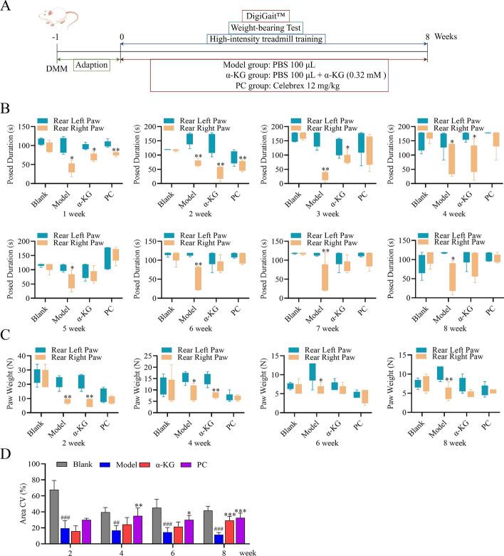 https://cdn.ncbi.nlm.nih.gov/pmc/blobs/820e/11177415/4aa9305dc9cf/11658_2024_605_Fig4_HTML.jpg