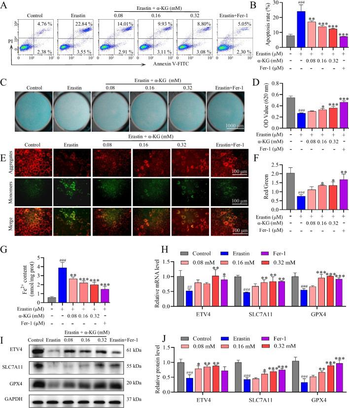 https://cdn.ncbi.nlm.nih.gov/pmc/blobs/820e/11177415/750129027d05/11658_2024_605_Fig3_HTML.jpg