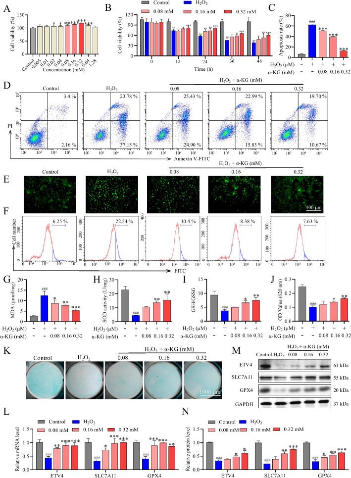 https://cdn.ncbi.nlm.nih.gov/pmc/blobs/820e/11177415/da8a4e56c568/11658_2024_605_Fig2_HTML.jpg