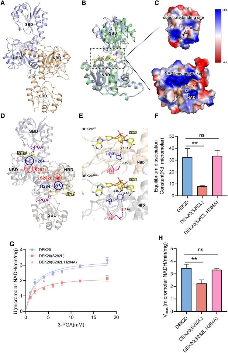 https://cdn.ncbi.nlm.nih.gov/pmc/blobs/820e/12164754/f44924871635/koaf126f5.jpg