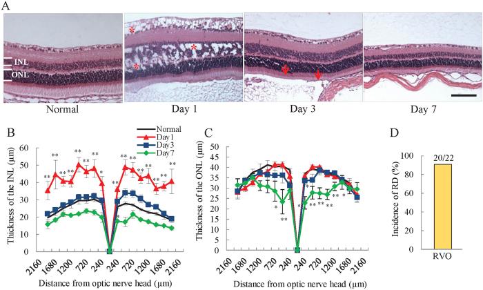 https://cdn.ncbi.nlm.nih.gov/pmc/blobs/820e/5333144/140656dc847c/srep43509-f2.jpg