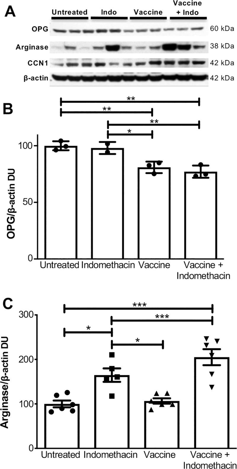 https://cdn.ncbi.nlm.nih.gov/pmc/blobs/820e/6834267/ae16768ac85a/pone.0224309.g005.jpg