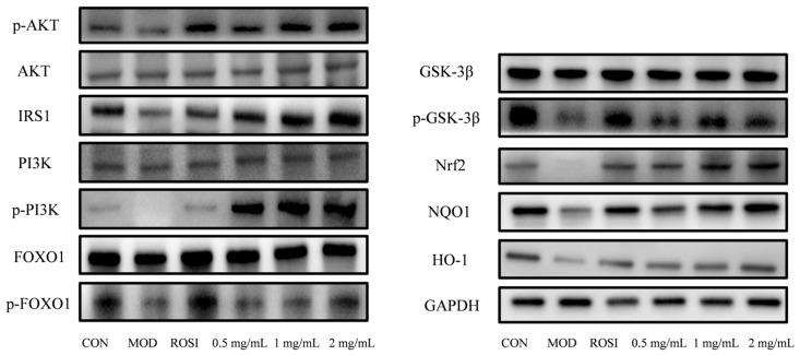 https://cdn.ncbi.nlm.nih.gov/pmc/blobs/8211/12427753/ed0f17f94da2/foods-14-02989-g006.jpg