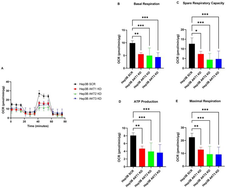 https://cdn.ncbi.nlm.nih.gov/pmc/blobs/8212/10889766/1b06de071f61/ijms-25-02168-g002.jpg