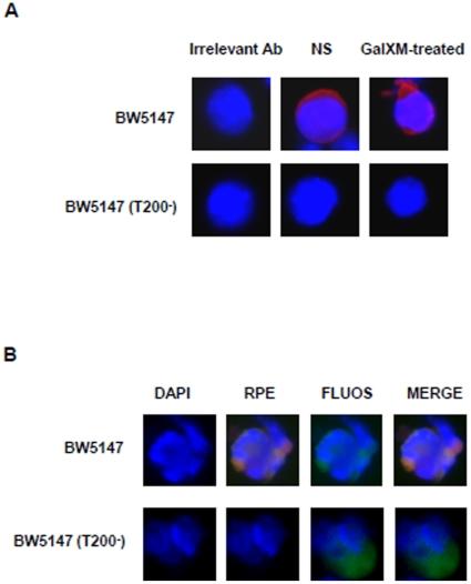 https://cdn.ncbi.nlm.nih.gov/pmc/blobs/8212/2939064/38d1c1167e86/pone.0012720.g003.jpg