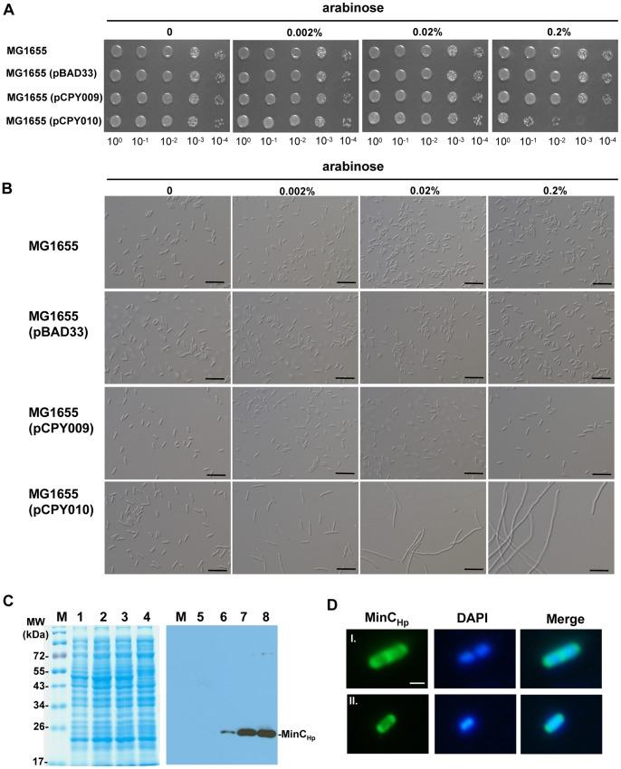 https://cdn.ncbi.nlm.nih.gov/pmc/blobs/8215/3731275/529bee52e80a/pone.0071208.g009.jpg
