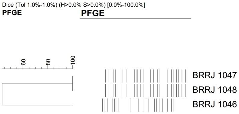 https://cdn.ncbi.nlm.nih.gov/pmc/blobs/8216/3854972/8eab9a691486/pntd.0002573.g002.jpg