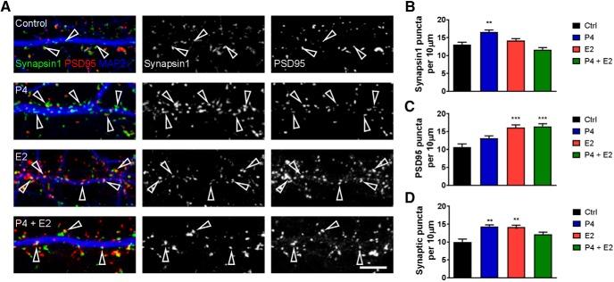 https://cdn.ncbi.nlm.nih.gov/pmc/blobs/8218/5605756/8b5410103c67/enu0051724130005.jpg