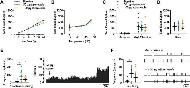 https://cdn.ncbi.nlm.nih.gov/pmc/blobs/8218/6116789/2ece97a85f99/jop1-159-1887-g005.jpg
