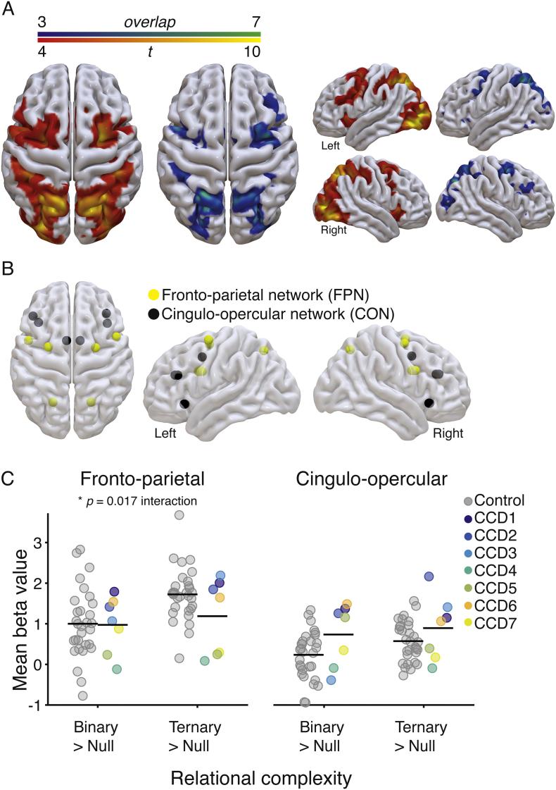 https://cdn.ncbi.nlm.nih.gov/pmc/blobs/8218/6411589/4ec2ff7314ee/gr3.jpg