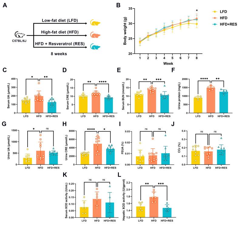 https://cdn.ncbi.nlm.nih.gov/pmc/blobs/821a/11013445/20141e818dcc/nutrients-16-01086-g001.jpg