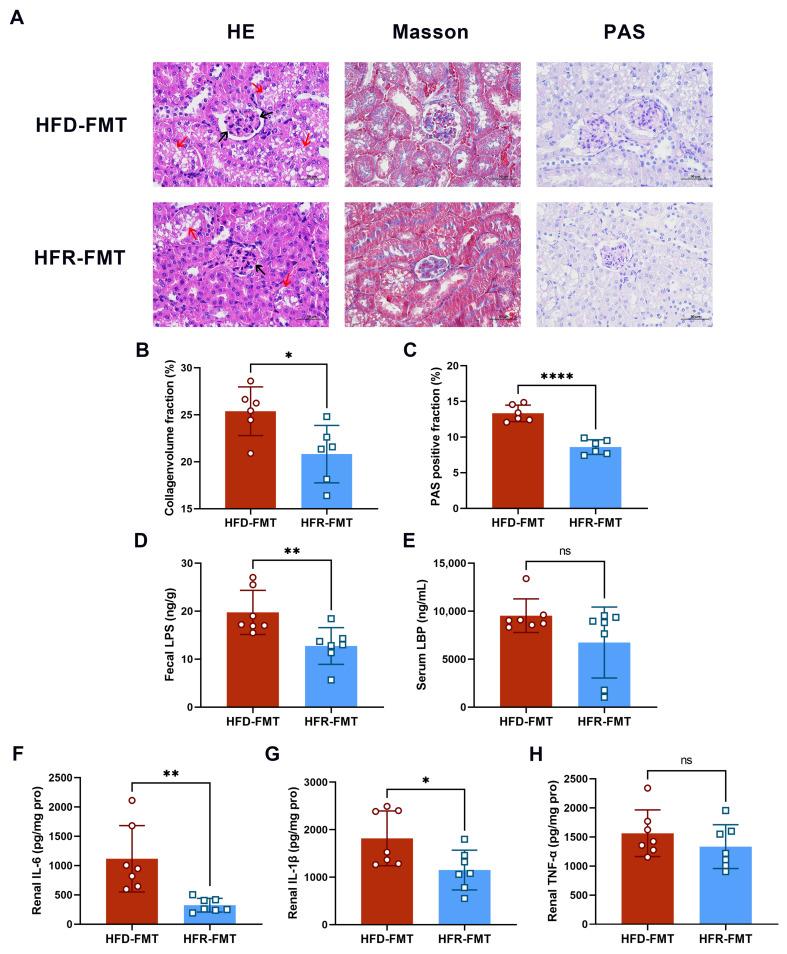 https://cdn.ncbi.nlm.nih.gov/pmc/blobs/821a/11013445/29429bf8c50a/nutrients-16-01086-g007.jpg