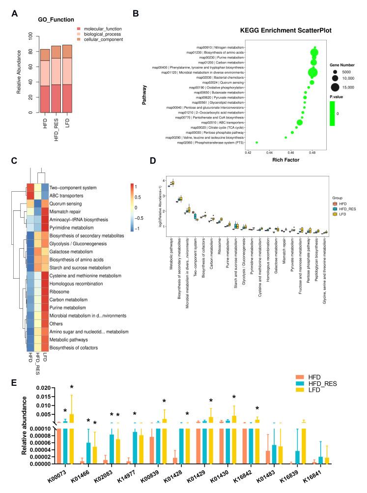 https://cdn.ncbi.nlm.nih.gov/pmc/blobs/821a/11013445/34d032dd42c6/nutrients-16-01086-g005.jpg