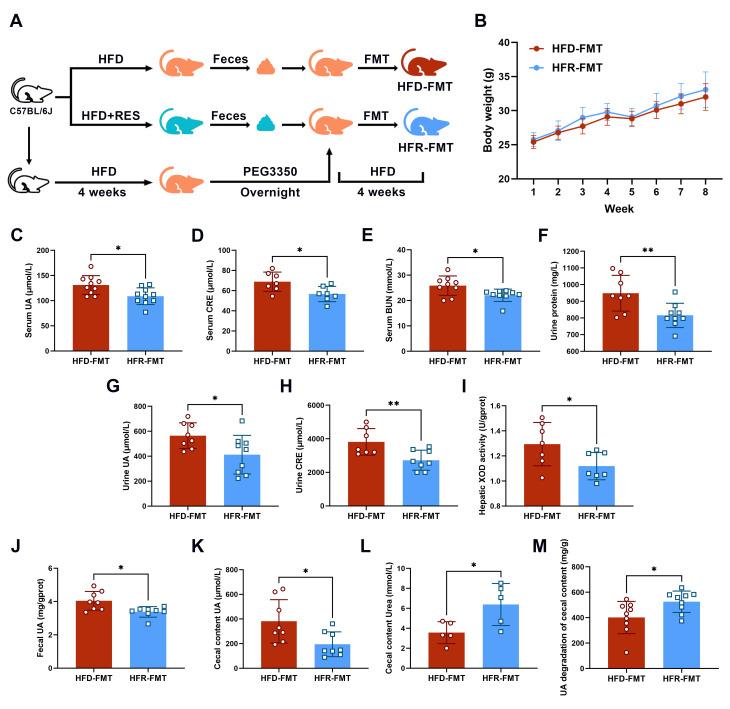 https://cdn.ncbi.nlm.nih.gov/pmc/blobs/821a/11013445/4858230c6d7d/nutrients-16-01086-g006.jpg