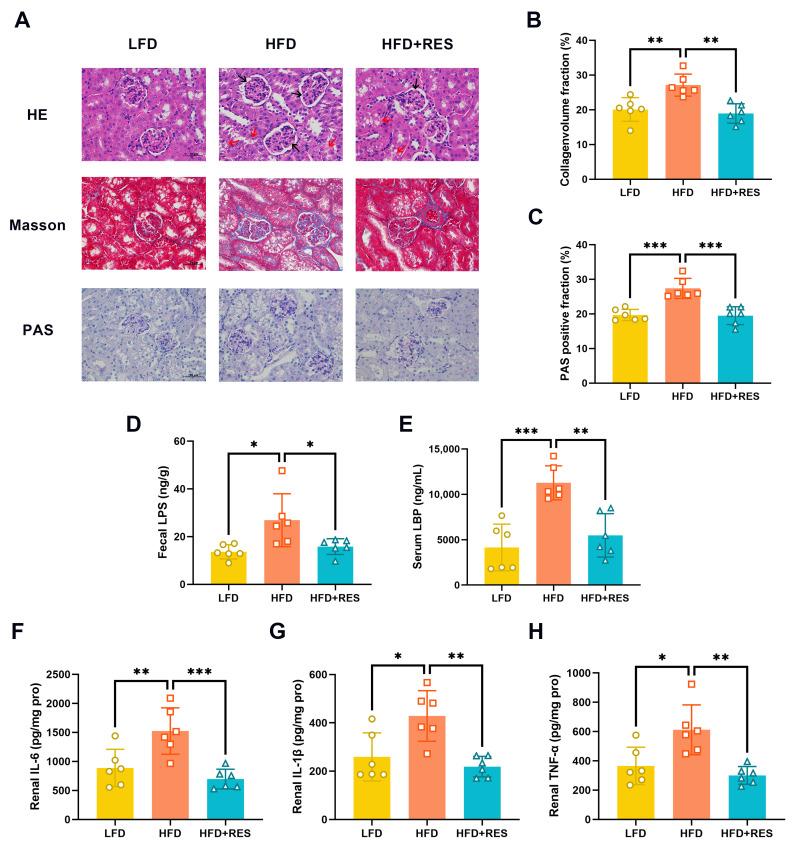 https://cdn.ncbi.nlm.nih.gov/pmc/blobs/821a/11013445/4a50b2946fa9/nutrients-16-01086-g002.jpg