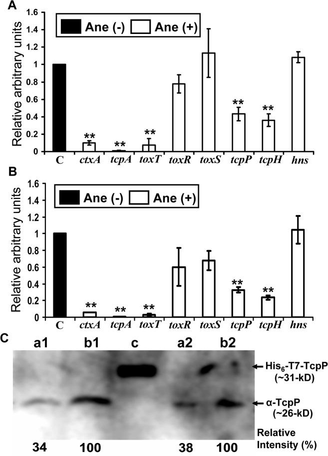 https://cdn.ncbi.nlm.nih.gov/pmc/blobs/821a/4567338/add2c55c5baf/pone.0137529.g005.jpg
