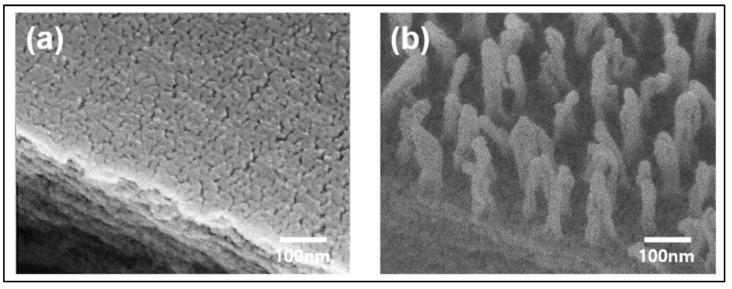 https://cdn.ncbi.nlm.nih.gov/pmc/blobs/821b/10821393/8aa47507e347/polymers-16-00230-g004.jpg