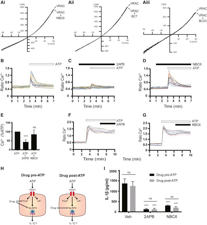 https://cdn.ncbi.nlm.nih.gov/pmc/blobs/821e/5696570/f60e307667d0/gr7.jpg