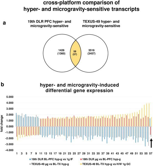 https://cdn.ncbi.nlm.nih.gov/pmc/blobs/8220/6125427/0e6e8b232984/41598_2018_31596_Fig9_HTML.jpg