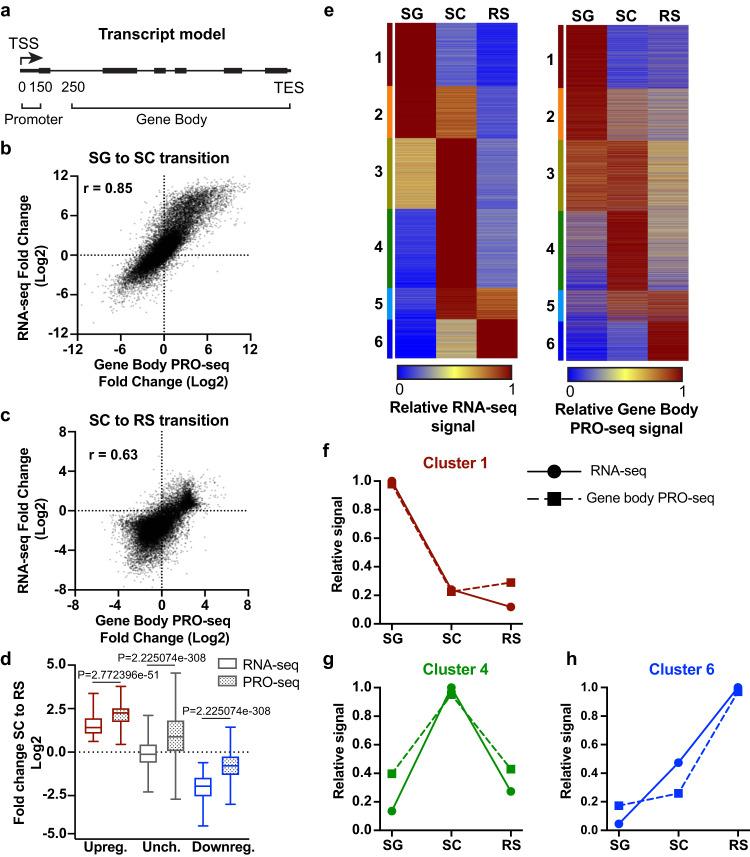 https://cdn.ncbi.nlm.nih.gov/pmc/blobs/8221/10824759/f3bfb7839ae0/41467_2024_45177_Fig2_HTML.jpg